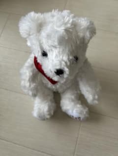 King & Prince くま　ぬいぐるみ