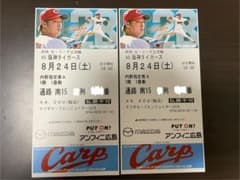8/24 カープ✖️タイガース　南15通路　2連番のサムネイル