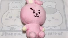 【専用】BTS BT21 COOKY ぬいぐるみのサムネイル