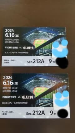 日本ハムファイターズ6/16(日)チケット 2枚 エスコンフィールド - メルカリ
