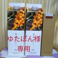 フィネス 豊潤サジー 、しょうがみつのサムネイル