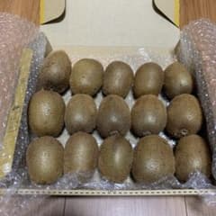 キウイフルーツ　15個入りのサムネイル