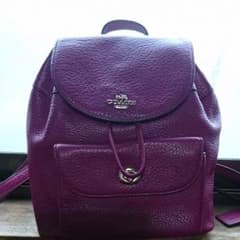 まる様。専用です★購入しないで下さい。COACH★レザーミニリュックのサムネイル