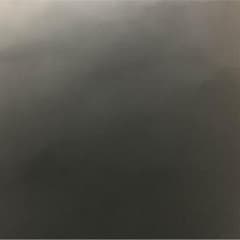 ラッキー様専用のサムネイル