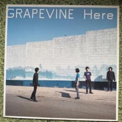 grapevine here レコード - メルカリ