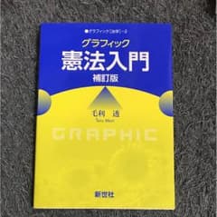 グラフィック 憲法入門 補訂版のサムネイル