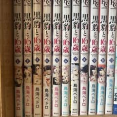 黒豹と16歳 全11巻セットのサムネイル