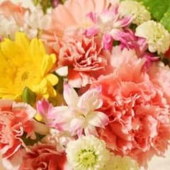 専用出品のサムネイル