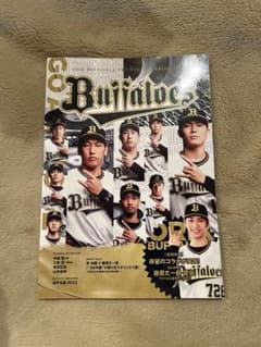 オリックス　パーフェクトガイド　2022のサムネイル