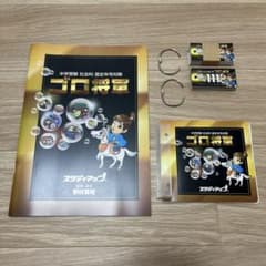 mk⭐︎様専用！】スタディアップ ゴロ将軍 フラッシュカード・テキスト