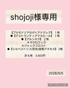shojoji様専用のサムネイル