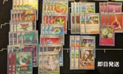 ポケモンカード レギュ落ちなし ハイレア ドラパルト ex 構築済み