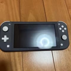 Nintendo Switch Lite 本体 グレーのサムネイル