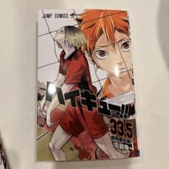 ハイキュー　ゴミ捨て場の決戦　劇場版のサムネイル