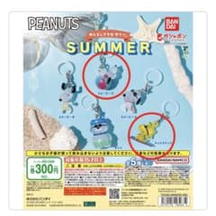 スヌーピー】PEANUTS めじるしアクセサリー SUMMER 2種セット - メルカリ
