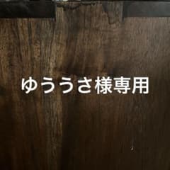 ノアの方舟のサムネイル