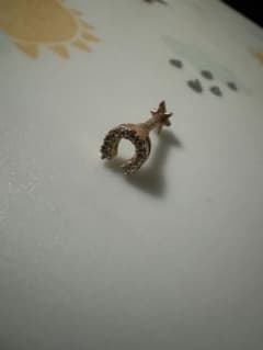 14G 軟骨用ピアスのサムネイル