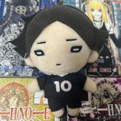 ハイキュー!!稲荷崎高校 角名倫太郎ぬいぐるみのサムネイル