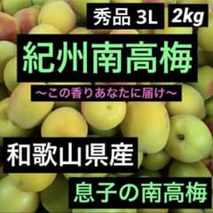 和歌山県産 紀州南高梅 秀品 3L 箱込み約2kg以上のサムネイル