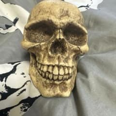 スカル型貯金箱のサムネイル