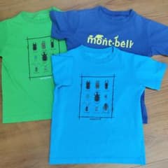 mont-bell 昆虫、アニマルデザイン Tシャツ 3枚セット　120のサムネイル