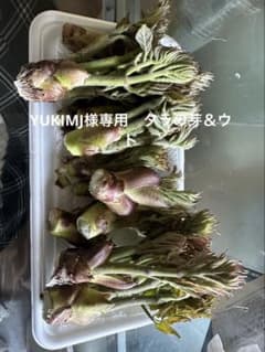YUKIMJ様専用ページ　タラの芽＆ウドのサムネイル