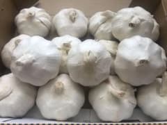 国産ニンニク 大玉4L 15〜16個 1㎏のサムネイル