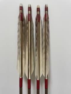 ジュラ矢4本 94cm EASTON1913のサムネイル