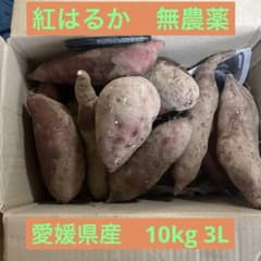 【無農薬　紅はるか】土付き　10Kg以上　3Lサイズ　26102のサムネイル