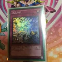 次元障壁 スーパー1枚のサムネイル