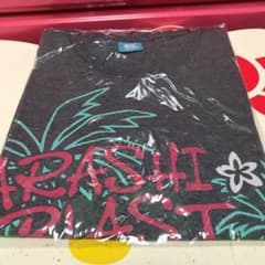 嵐 シャツ⑦のサムネイル