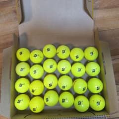 BRIDGESTONE Lost Golf Balls, Yellow, 24 Balls