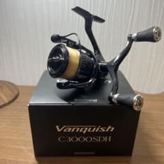 19 ヴァンキッシュ C3000SDHのサムネイル