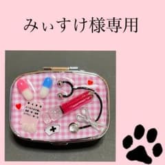 【専用】おくすり屋さんピルケースのサムネイル