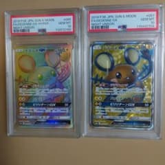 【PSA10】デデンネGX SR HR SM9a ナイトユニゾン 057/055 PSA10】デデンネGX SR HR SM9a ナイトユニゾン 057/055 - メルカリ