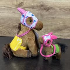 m43599529232_1.jpg?1751604532