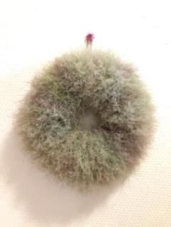 ＊ドライフラワースモークツリーリース＊ ㉑のサムネイル