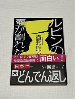 ルビンの壺が割れた 宿野かほる 新潮文庫 小説のサムネイル