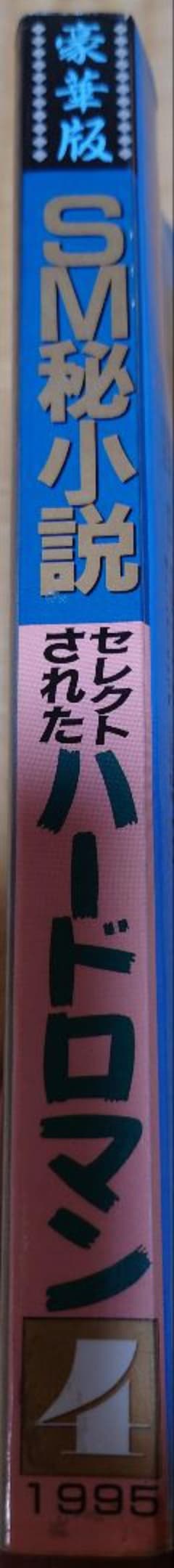 豪華版 SM秘小説 1995年4月号 香山洋一 五代友義 藤堂慎太郎 羽鳥止雨のサムネイル