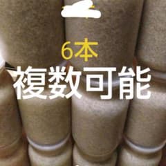 現品限りオオヒラタケ2次発菌6本のサムネイル