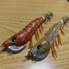 デュエル エギのサムネイル