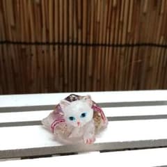 건착 고양이의 오르고나이트☆흰 고양이☆