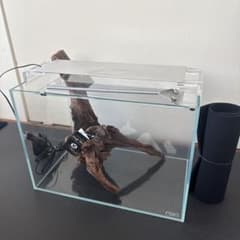 ADA 36cm水槽 セット ガラス水槽＋ライト＋流木＋プロレイザーミニ 美品 ADA 36cm水槽 セット ガラス水槽＋ライト＋流木＋プロレイザーミニ 美