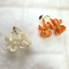 プアケニケニピアス 2色セットのサムネイル