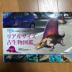 まつさん専用のサムネイル