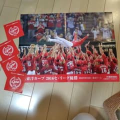 カープ2016セントラルリーグ優勝記念プレート 2016年セリーグチャンピオン サイン入りプレート カープ ノリタケ