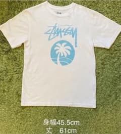 【けんぼうさん専用】ステューシー  stussy Tシャツ 白　水色　椰子のサムネイル