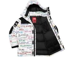Supreme The North Face Coldworks Downのサムネイル