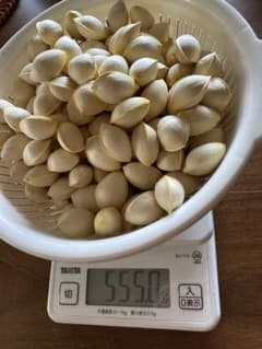 銀杏555gのサムネイル