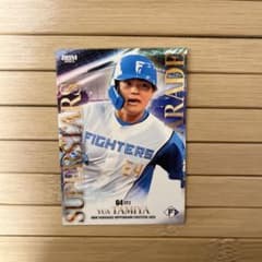 m43673369686_1.jpg?1754407022